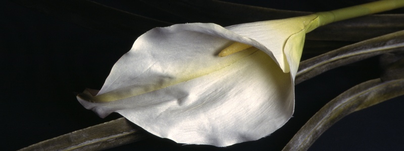 Photo 23830